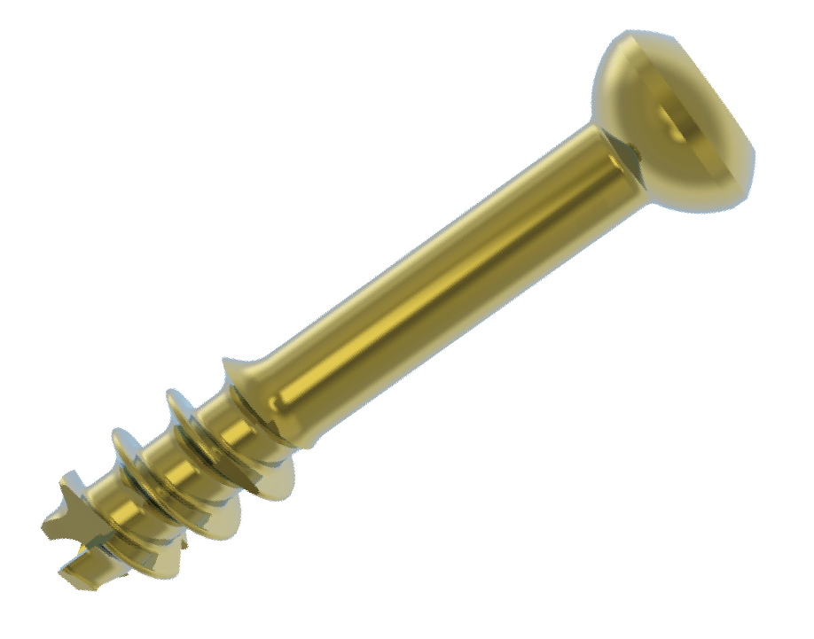 Locking Screws